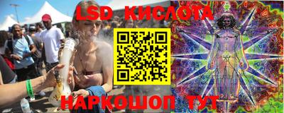 амф Донской