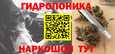 эйфоретик Бийск