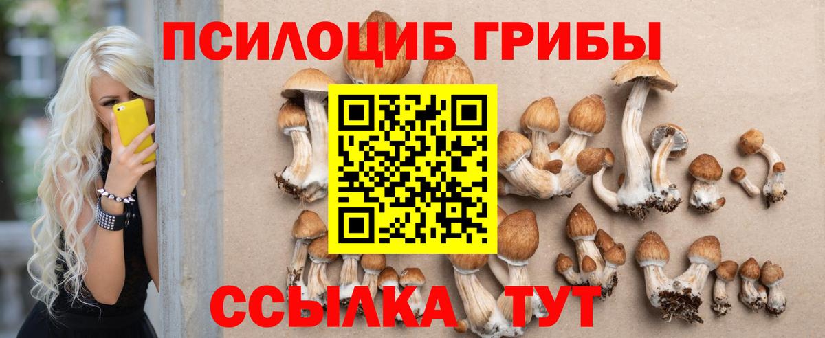 Псилоцибиновые грибы Cubensis Рубцовск