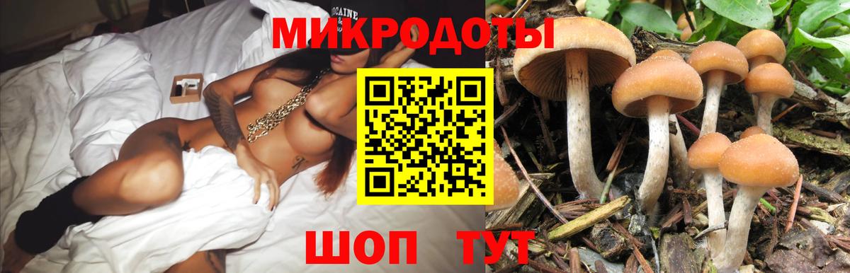 Галлюциногенные грибы GOLDEN TEACHER  Вход с VPN  Рубцовск 