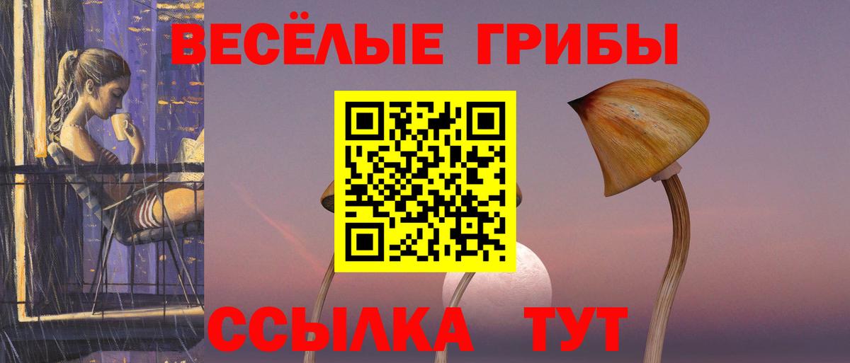 Галлюциногенные грибы Psilocybe  Галлюциногенные грибы прущие грибы  Рубцовск 